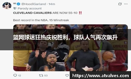 篮网球迷狂热庆祝胜利，球队人气再次飙升