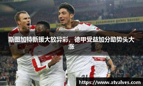 BB贝博登录入口
